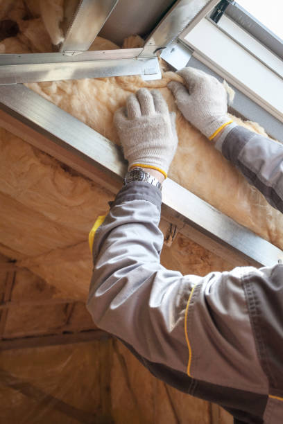 Best Insulation Contractors for Homes  in Biltmore, TN